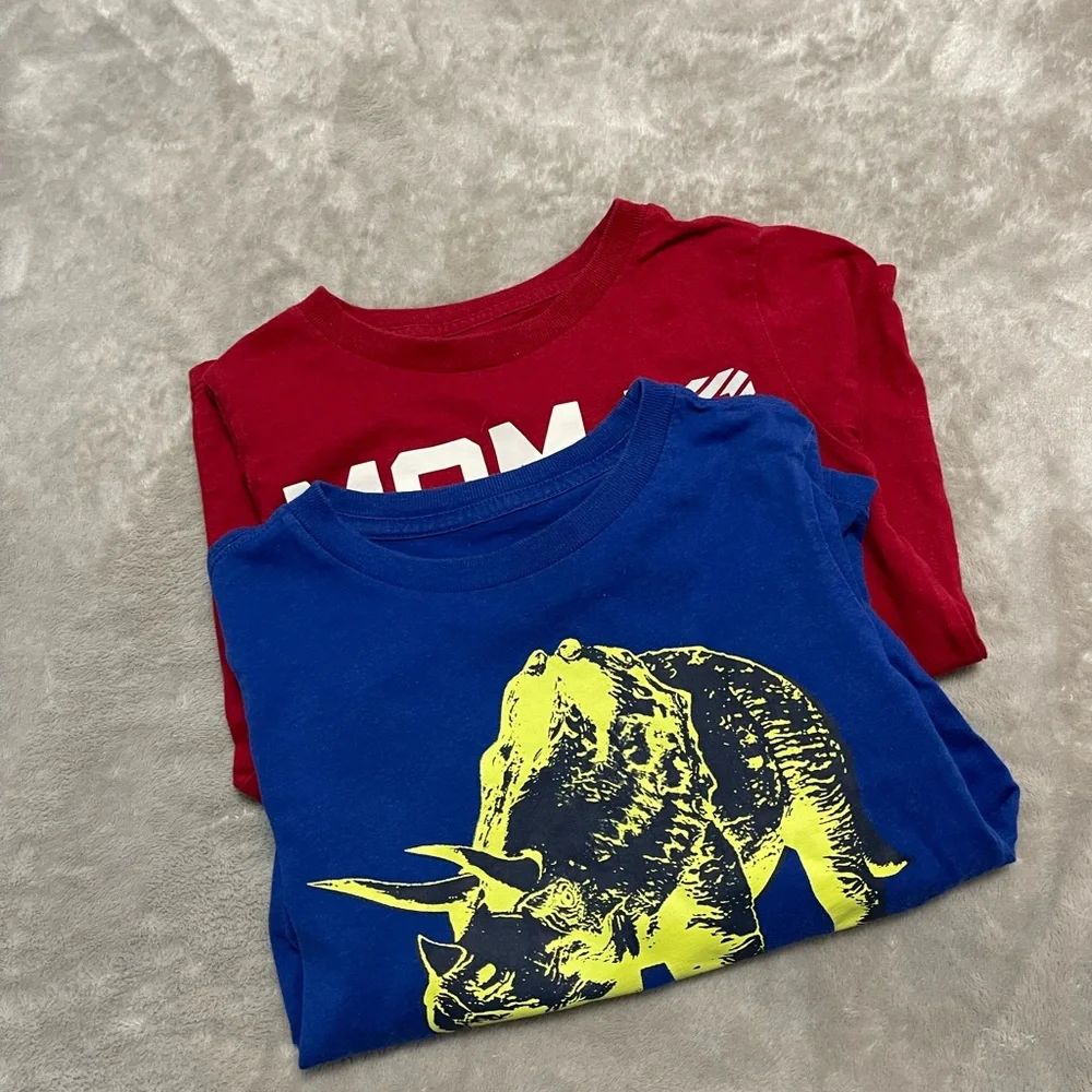 Bundle of two The children’s place kids long sleeve tees